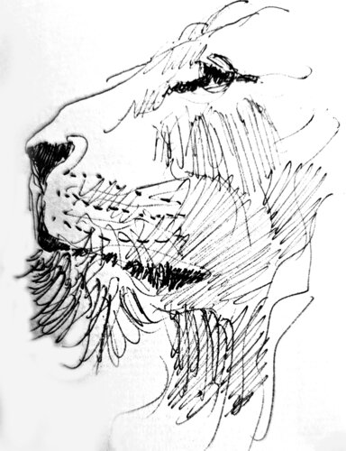Leon perfil sintetico van Claudio Pincas Feldman, Tekening te koop op Singulart