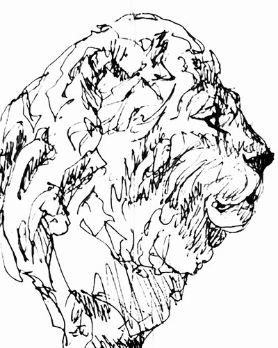 Cabeza de Leon by Claudio Pincas Feldman, Drawing for Sale on Singulart