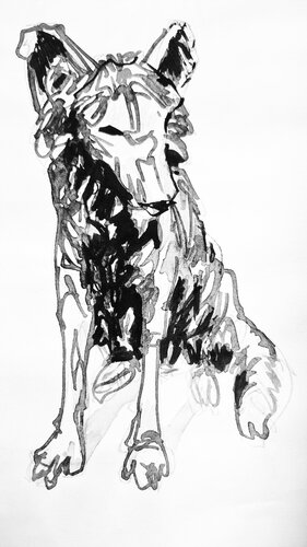 Wolf 44 van Claudio Pincas Feldman, Tekening te koop op Singulart