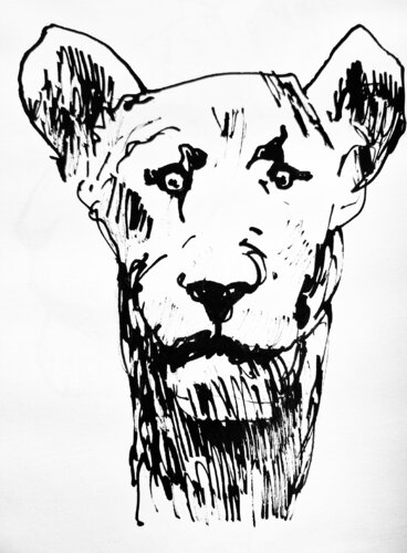 Leon 23.14 by Claudio Pincas Feldman, Drawing for Sale on Singulart