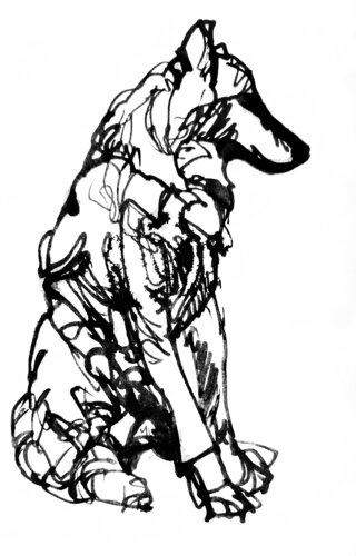 Wolf 43 by Claudio Pincas Feldman, Drawing for Sale on Singulart