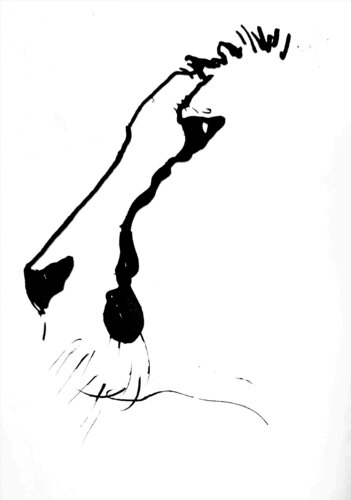 Chita van Claudio Pincas Feldman, Tekening te koop op Singulart