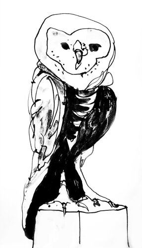 Buho 141 van Claudio Pincas Feldman, Tekening te koop op Singulart