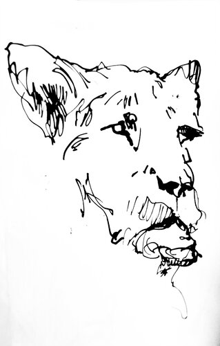 Leon rapido van Claudio Pincas Feldman, Tekening te koop op Singulart
