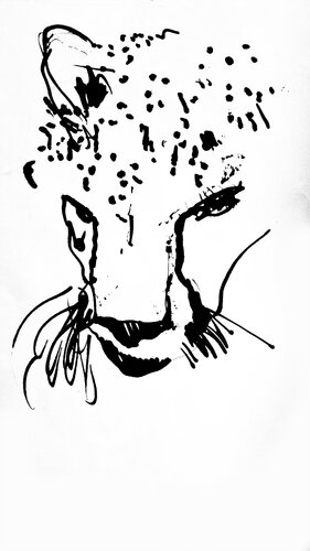 Chita 2 by Claudio Pincas Feldman, Drawing for Sale on Singulart