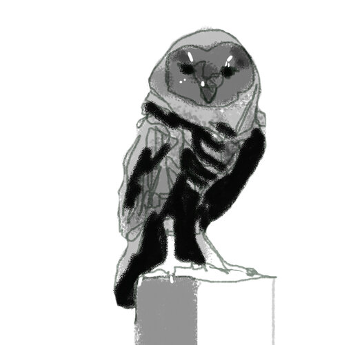 Buho 142 di Claudio Pincas Feldman, Disegno in vendita su Singulart
