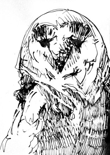 Buho 140 par Claudio Pincas Feldman, Dessin en vente sur Singulart