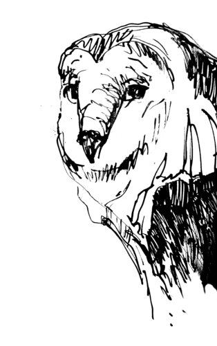 Ave Buho di Claudio Pincas Feldman, Disegno in vendita su Singulart
