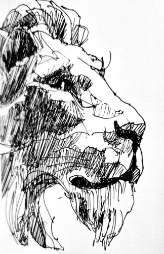 Leon perfil 12 di Claudio Pincas Feldman, Disegno in vendita su Singulart