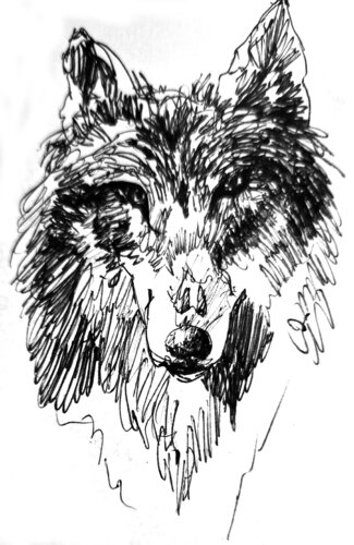 Lobo 15 par Claudio Pincas Feldman, Dessin en vente sur Singulart