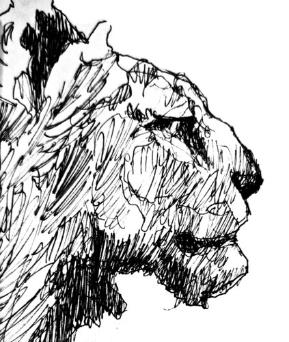 Leon perfil 18 von Claudio Pincas Feldman, Zeichnungen kaufen auf Singulart