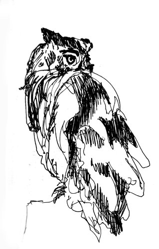 Ave 174 di Claudio Pincas Feldman, Disegno in vendita su Singulart