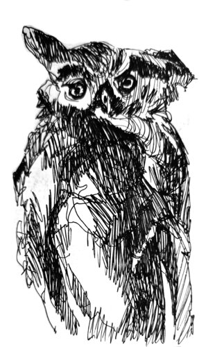 Buho 132 van Claudio Pincas Feldman, Tekening te koop op Singulart