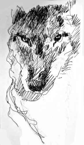 Lobo 143 van Claudio Pincas Feldman, Tekening te koop op Singulart