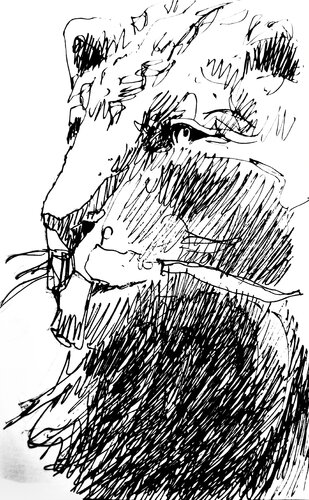 Leon 27 boceto rapido by Claudio Pincas Feldman, Drawing for Sale on Singulart