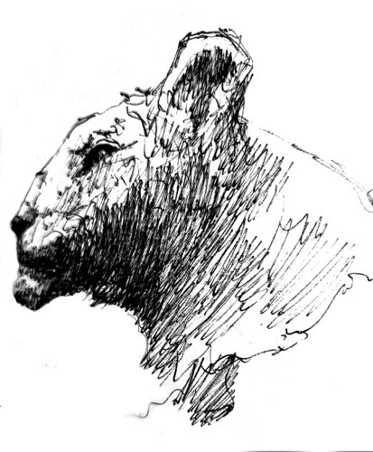 Leona 1 van Claudio Pincas Feldman, Tekening te koop op Singulart