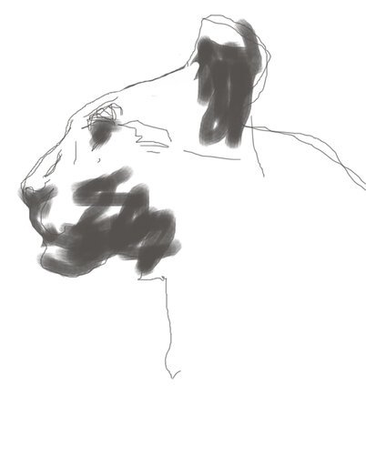 Leon perfil 1 van Claudio Pincas Feldman, Tekening te koop op Singulart