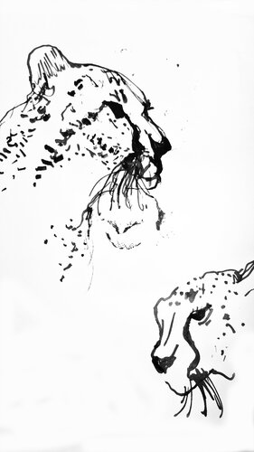 Chitas van Claudio Pincas Feldman, Tekening te koop op Singulart