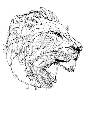 Dibujo Cabeza de Leon 2 van Claudio Pincas Feldman, Tekening te koop op Singulart