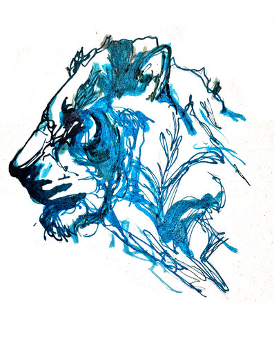 Leon 011 by Claudio Pincas Feldman, Drawing for Sale on Singulart