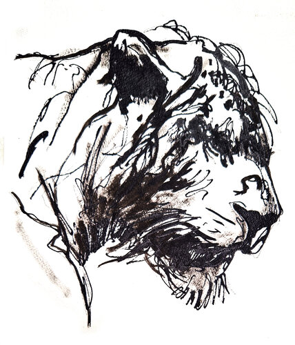 Leon 012 by Claudio Pincas Feldman, Drawing for Sale on Singulart