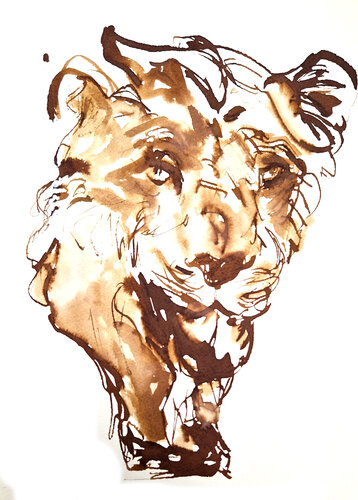 leon 019 by Claudio Pincas Feldman, Drawing for Sale on Singulart