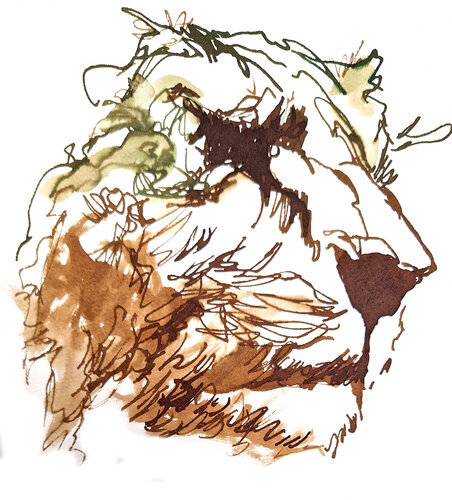 leon 020 by Claudio Pincas Feldman, Drawing for Sale on Singulart