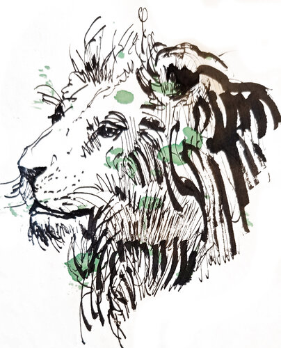Leon 96 di Claudio Pincas Feldman, Disegno in vendita su Singulart