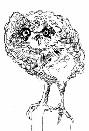 ""Lechuza"" par Claudio Pincas Feldman, Édition en vente sur Singulart