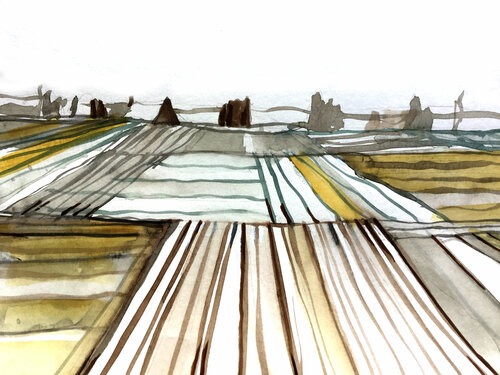 "Lineas de Cultivo de Papas" - 3 de 5 van Claudio Pincas Feldman, Werk op papier te koop op Singulart