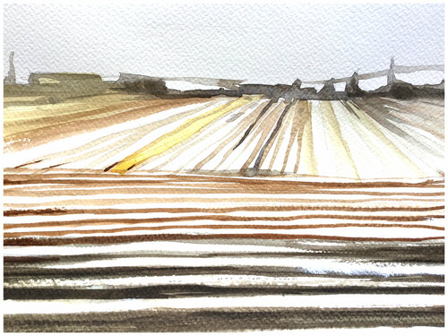 "Lineas de Cultivo de Papas" - 4 de 5 par Claudio Pincas Feldman, Œuvre sur papier en vente sur Singulart
