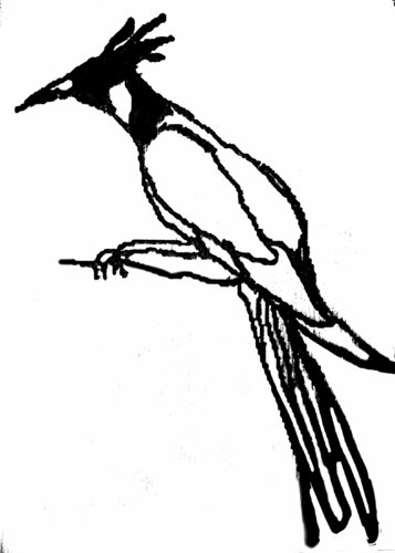 Pajaro 3 ( dibujo a mano enviado a Vynil cutter ) di Claudio Pincas Feldman, Disegno in vendita su Singulart