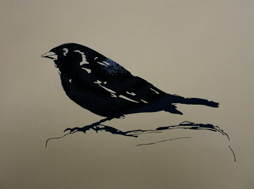 Pajaro FG di Claudio Pincas Feldman, Disegno in vendita su Singulart