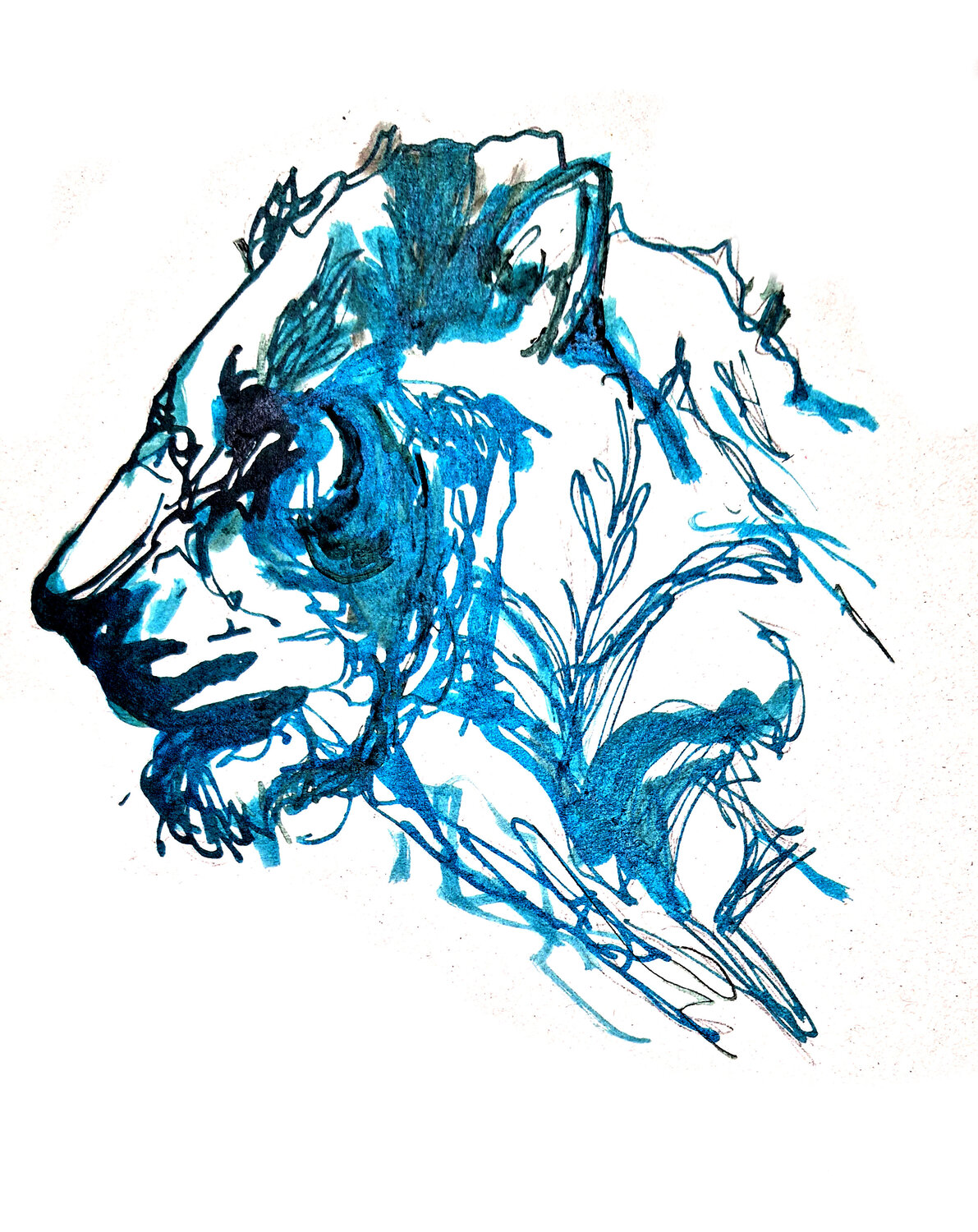 Leon 011 Claudio Pincas Feldman Drawing for sale