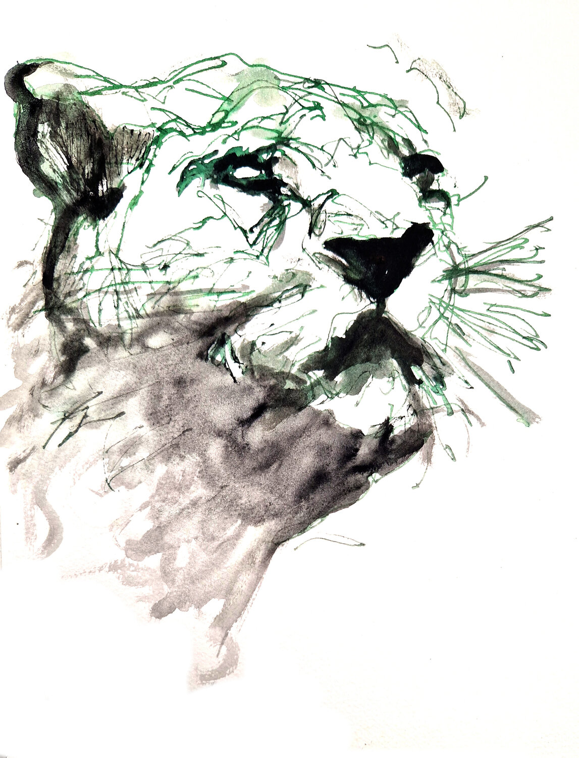 Leon 010 Claudio Pincas Feldman Drawing for sale
