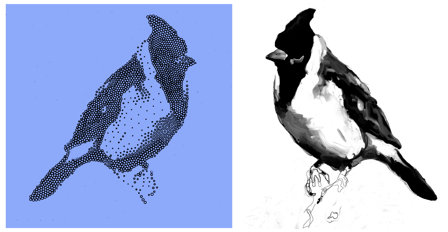 """Cardenal """...a mano y version digital Claudio Pincas Feldman