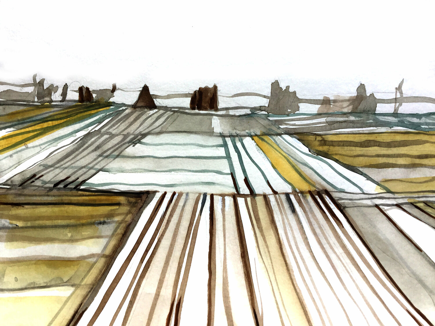 "Lineas de Cultivo de Papas" - 3 de 5 Claudio Pincas Feldman Werk auf Papier zu verkaufen