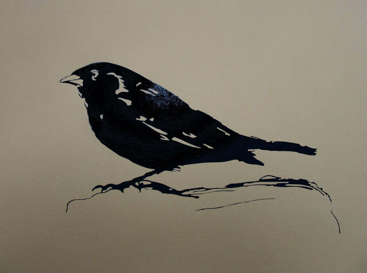 Pajaro FG Claudio Pincas Feldman