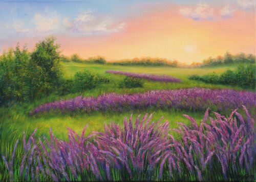 Lavender field in Provence by Ludmilla Ukrow, Painting for Sale on Singulart