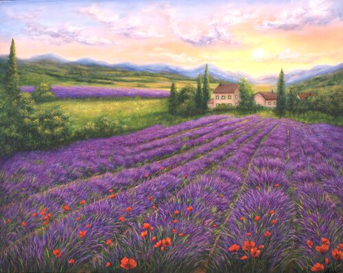 Purple lavender field Ludmilla Ukrow