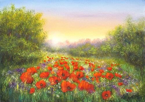 Poppy field by sunshine de Ludmilla Ukrow, Pintura a la venta en Singulart