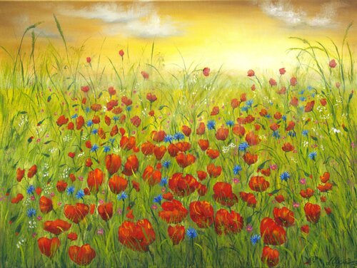 Sunset at the poppy field van Ludmilla Ukrow, Schilderij te koop op Singulart