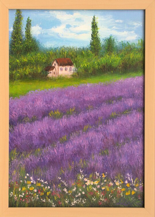 Lavender field in France Ludmilla Ukrow