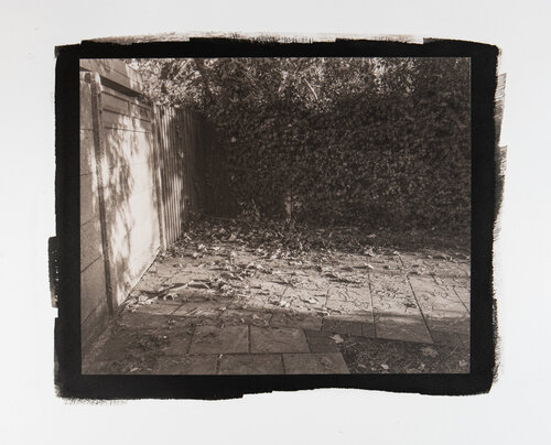 Autumn Alley, Platinum/Palladium Print Edition 1 of 10 von Pawel Libera, Fotografie kaufen auf Singulart