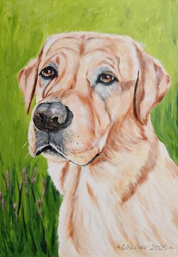 Herzenswärme auf vier Pfoten by Angela Weidner, Painting for Sale on Singulart