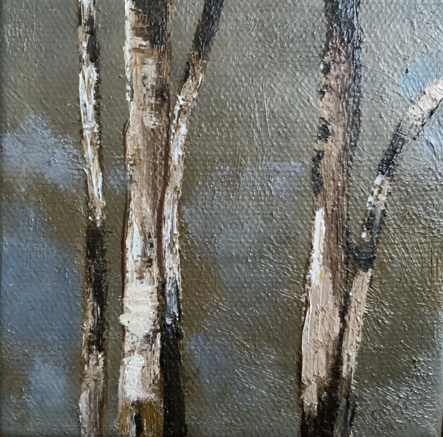 Troncs Kathy Gébelin