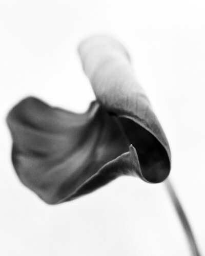 flow von Mariapia Statile, Fotografie kaufen auf Singulart