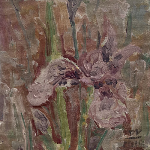 “Poetics of Botany. Iris Flower” by Viktoria Daneva, 油畫 for Sale on Singulart