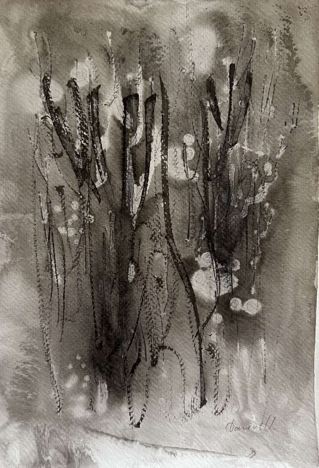 "Night Forest" Viktoria Daneva
