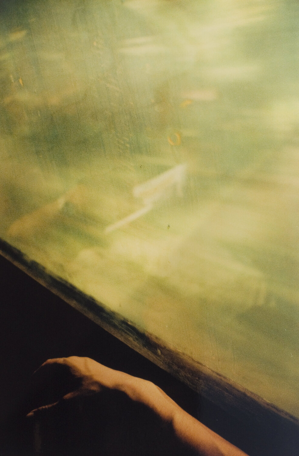 On the train Shank ARTE